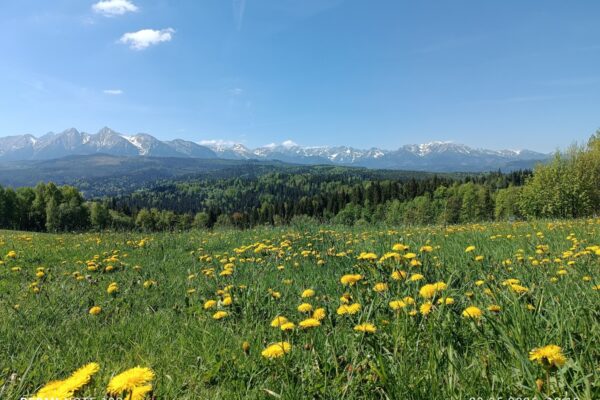 Wycieczka Spływa Dunajcem Zakopane - Taxi Kris